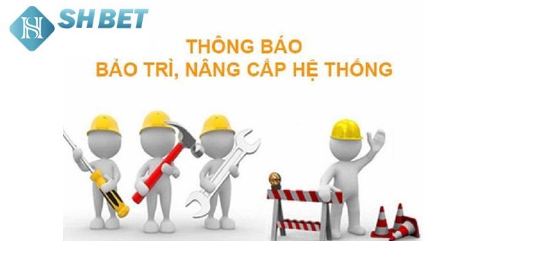 Shbet bảo trì