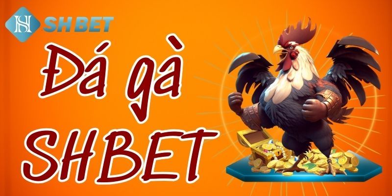 Đôi nét về đá gà Shbet